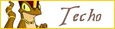 Techo