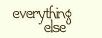 Everything Else