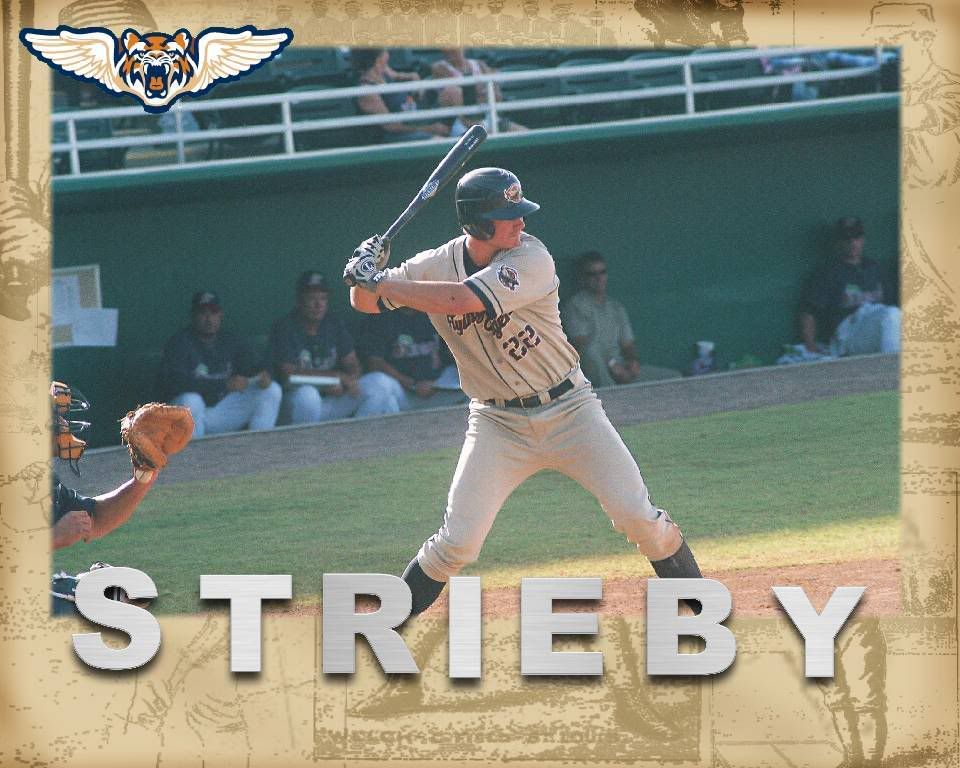 Ryan Strieby, Lakeland Flying tigers