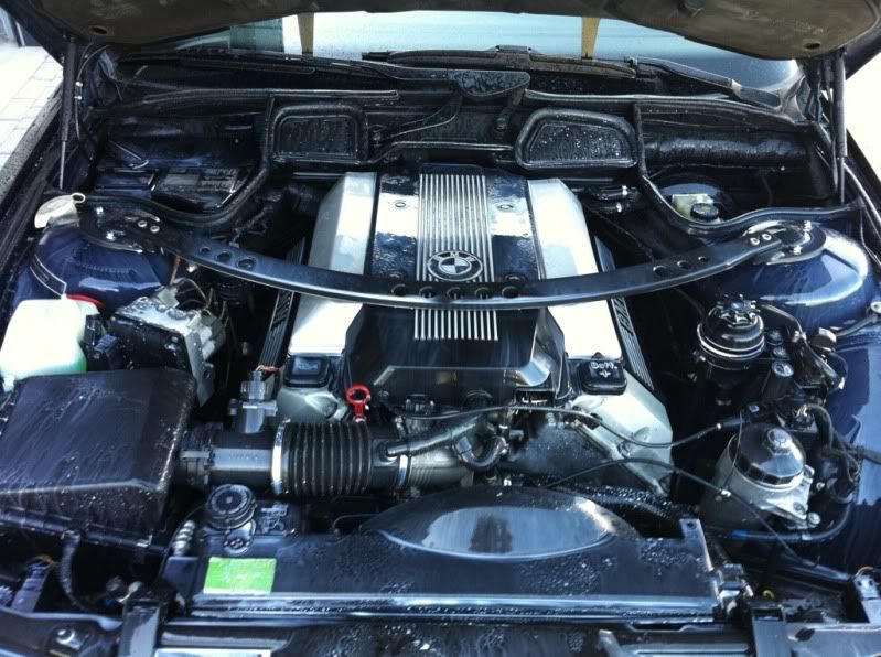 Steam Clean engine/undercarriage?