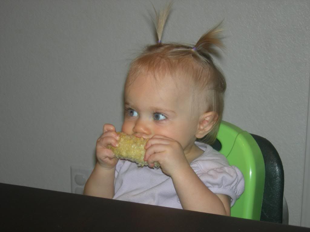 corn.jpg Corn on the Cob image by merrill_mandy