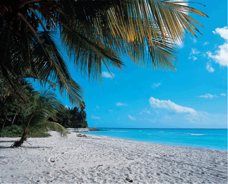 Barbados beach Pictures, Images and Photos