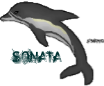 dolphintag.png