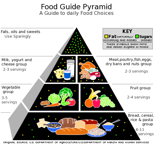 food pyramid Pictures, Images and Photos
