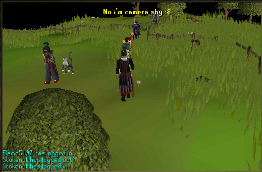 user posted image