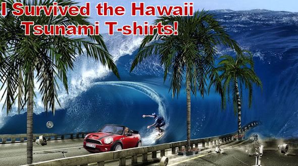 Hawaii+tsunami+2011+