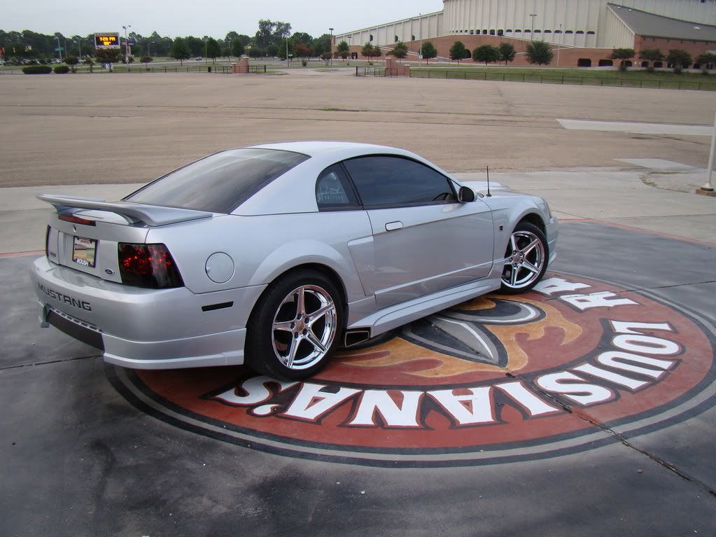 Silver Mustangs Get In! - Mustangforums.com