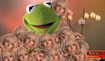 kermit-wearing-lady-gaga-30254-1248.jpg