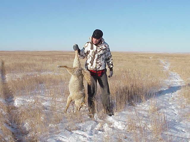 CoyoteKurt1.jpg