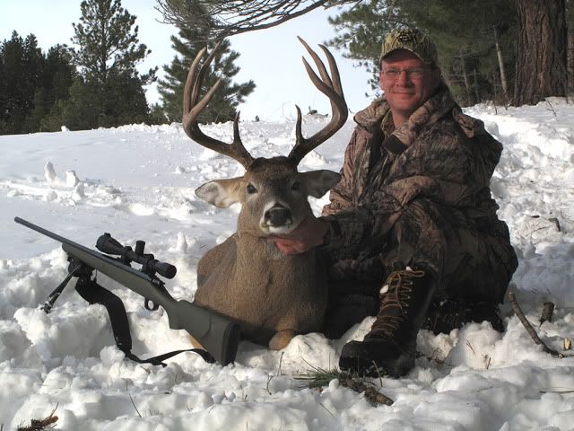 TroyDeerNov272010A.jpg