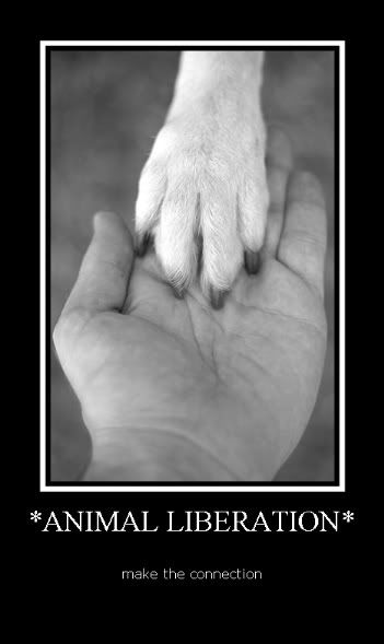 animal liberation Pictures, Images and Photos