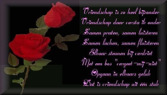 vriendschap204.jpg picture by yase_photo2