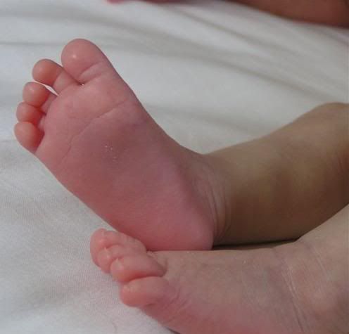 Baby_feet.jpg baybay feet image by Joshuarolandblume1