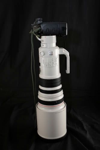 IMAGE: http://i254.photobucket.com/albums/hh114/ogre1231/_MG_8862.jpg