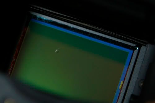 IMAGE: http://i254.photobucket.com/albums/hh114/ogre1231/_MG_8872.jpg