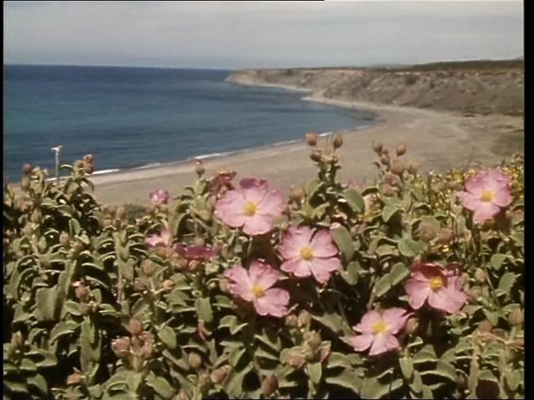 David Attenborough's The First Eden: The Mediterranean World and Man (1987) [DVDRip (ISO)] preview 2