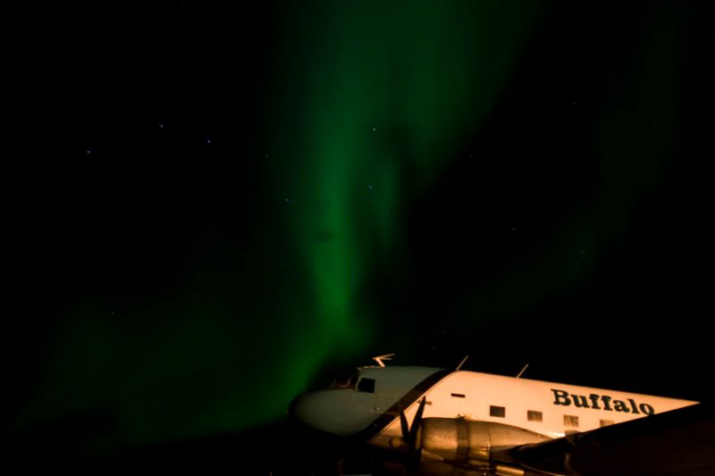 IMAGE: http://i254.photobucket.com/albums/hh116/Violented16/Buffaurora04copy.jpg