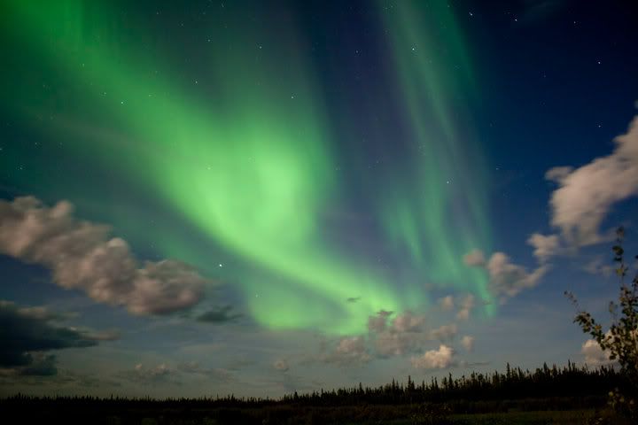 IMAGE: http://i254.photobucket.com/albums/hh116/Violented16/NL1.jpg