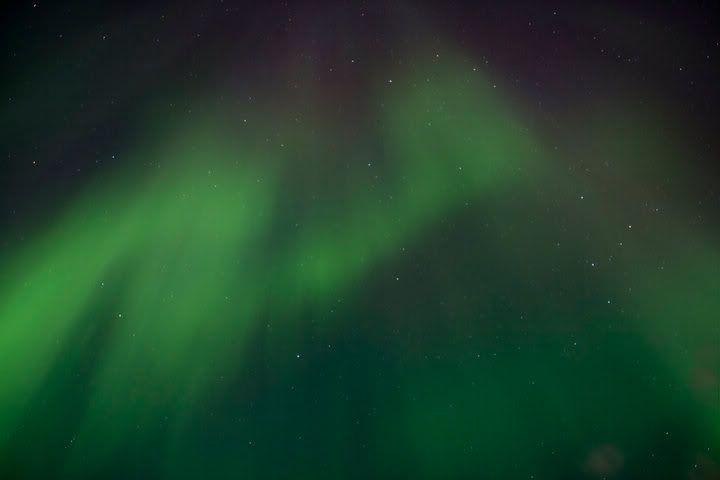 IMAGE: http://i254.photobucket.com/albums/hh116/Violented16/NL2.jpg