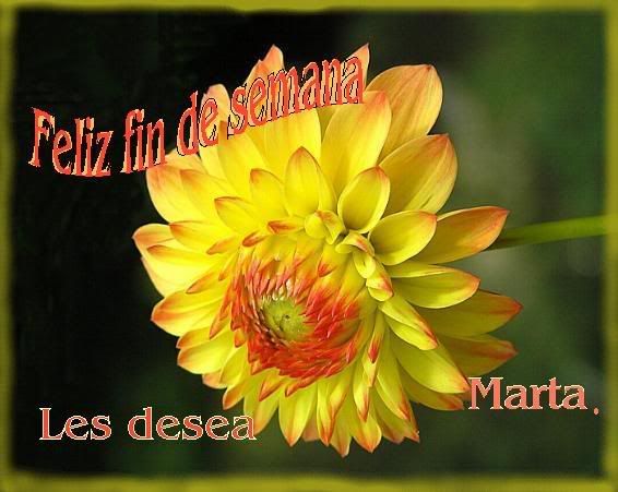 http://i254.photobucket.com/albums/hh116/martucha/Firmas%20diferentes/FelizfindesemanaMarta.jpg?t=1266576171