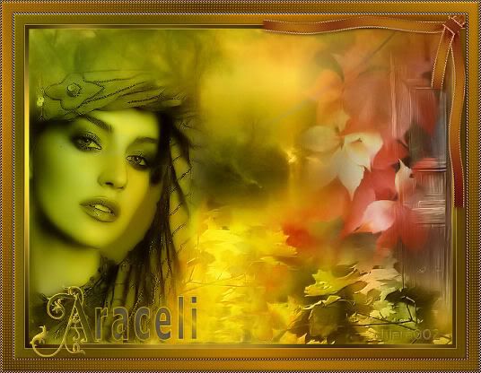 http://i254.photobucket.com/albums/hh116/martucha/Ofre-sets/araceli.jpg?t=1252933262