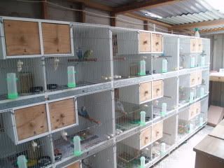 breedingroom001.jpg