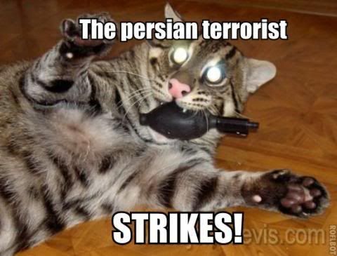 The-persian-terrorist.jpg