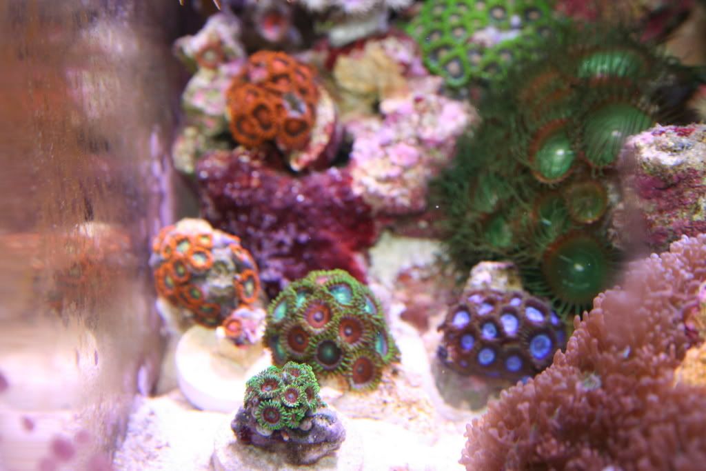 aquarium015.jpg