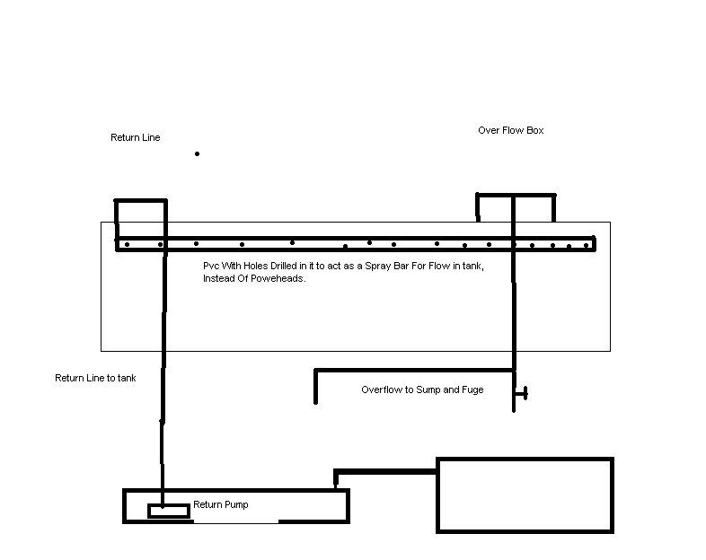 Latest Sump Idea