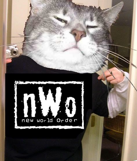 nWo_cat_dual.jpg