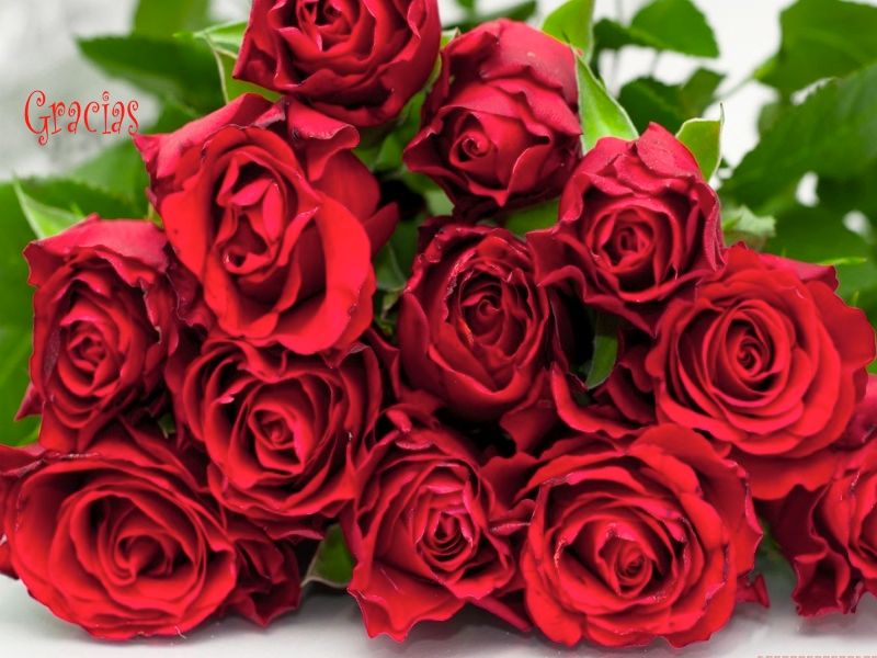  photo gracias_zps2dcefaf1.jpg