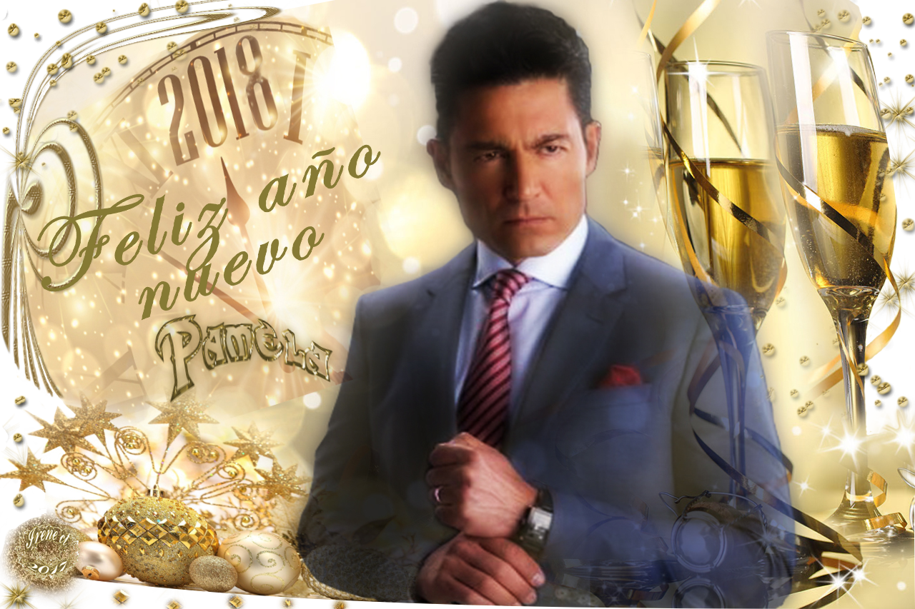  photo banner antildeo nuevo pamela 2017  argentina_zpsz9z8lw1l.png