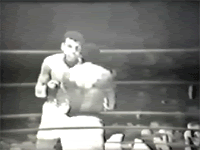 1z1hc9y.gif