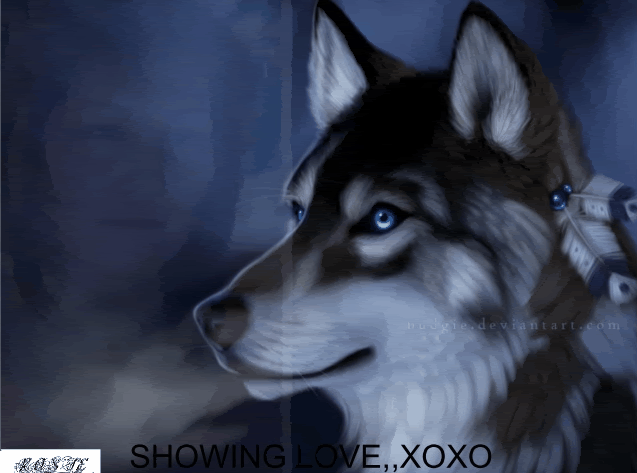 SHOWINGLOVE.gif image by ruby2nicole