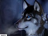 SHOWINGLOVE.jpg image by ruby2nicole