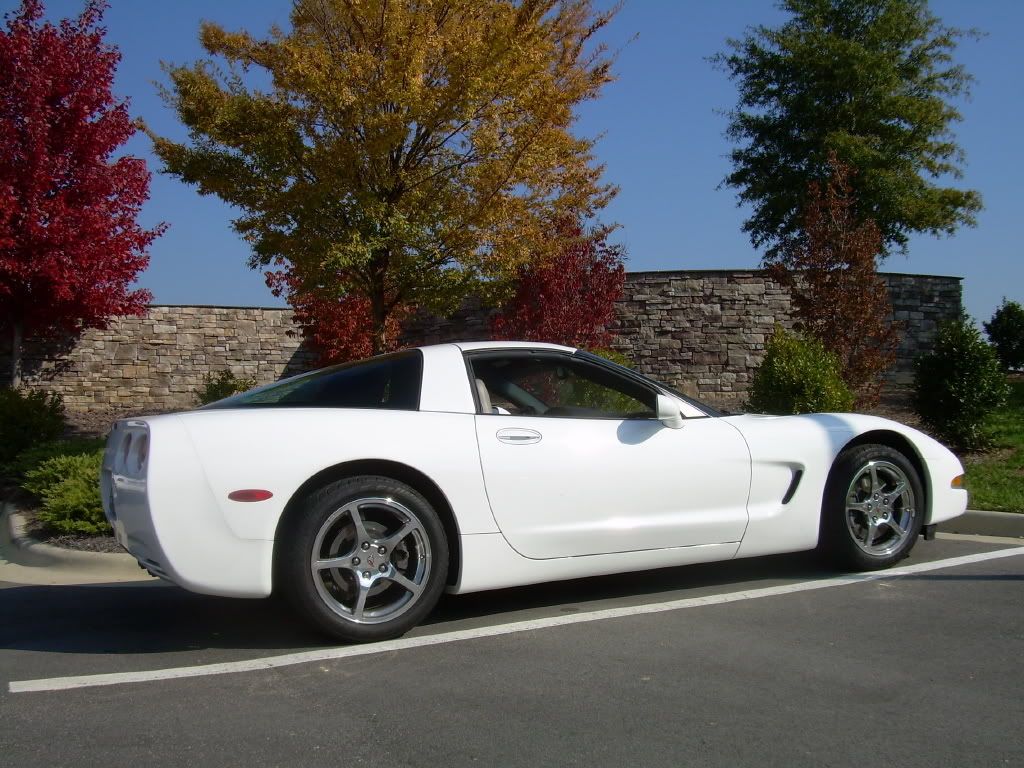 snovette09.jpg