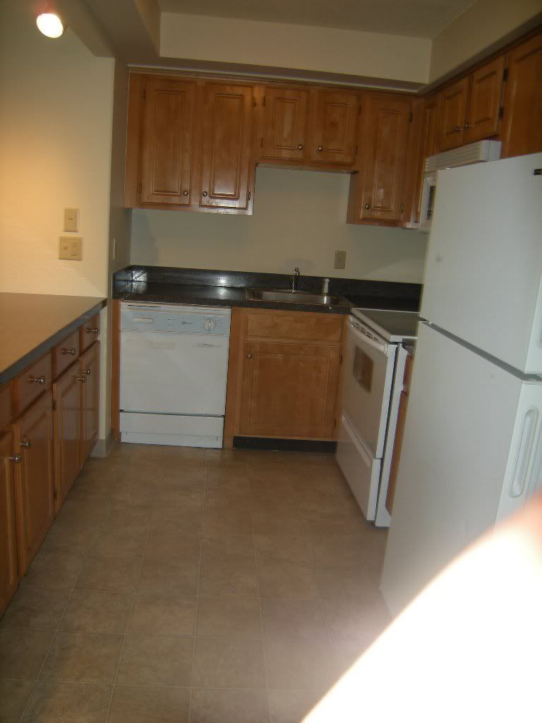 Kitchen001.jpg?t=1220578455