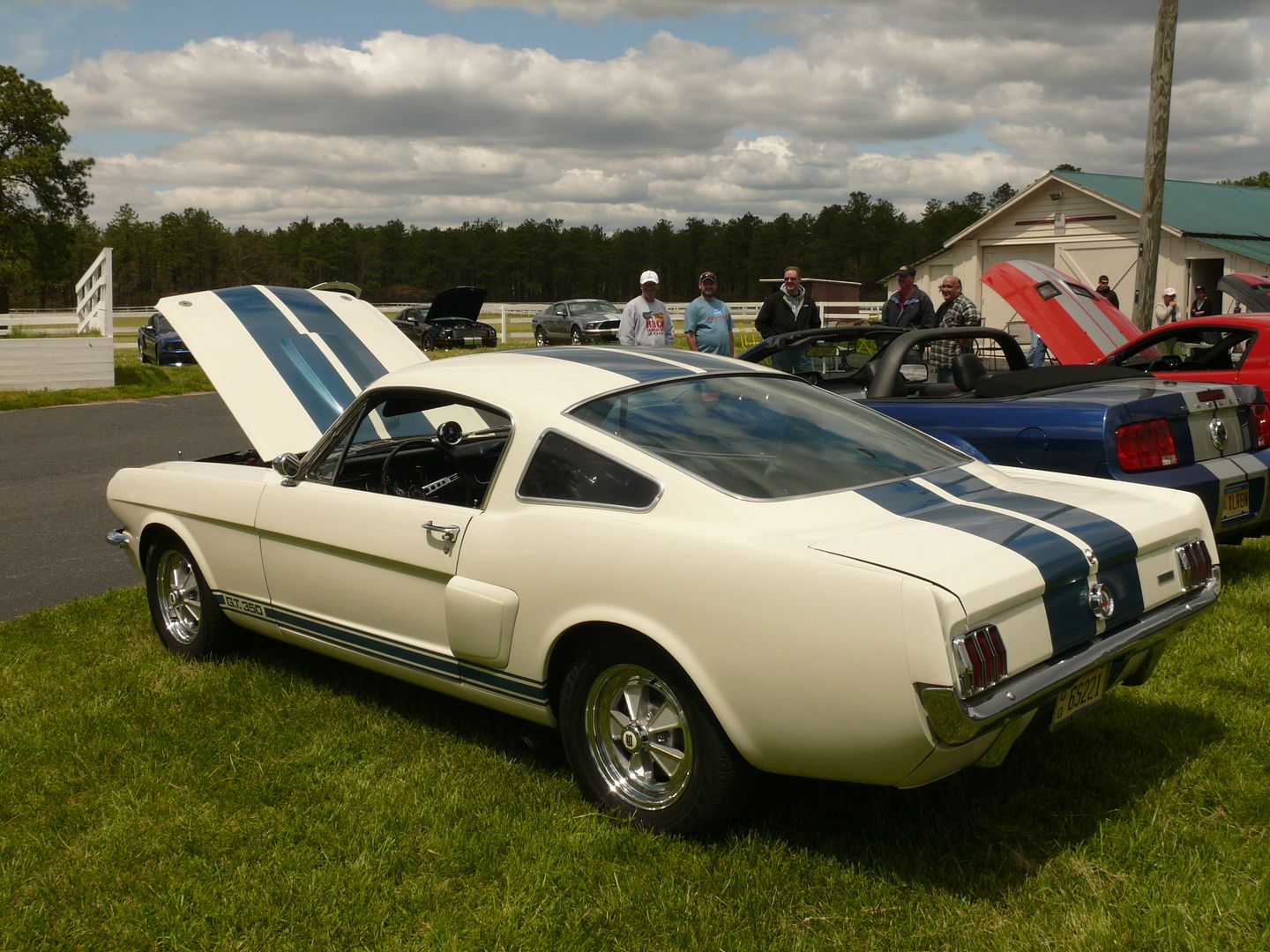 L1090767.jpg
