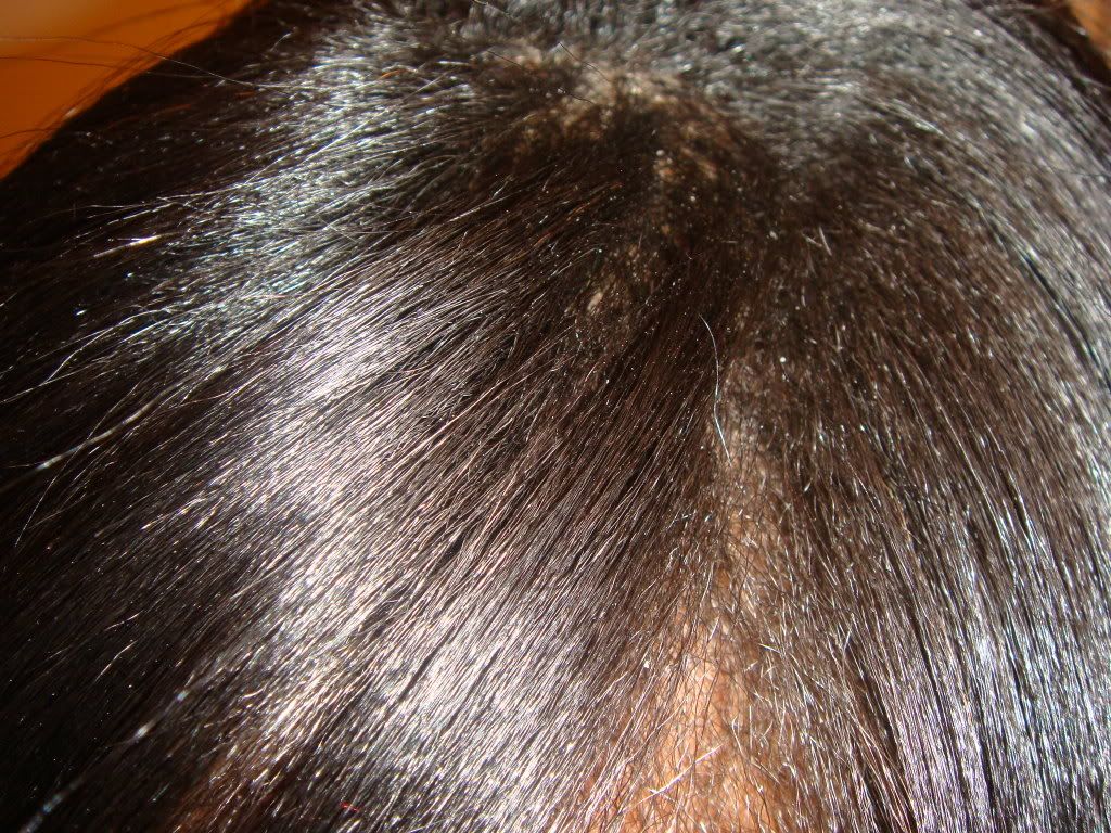 IMG006.jpg
