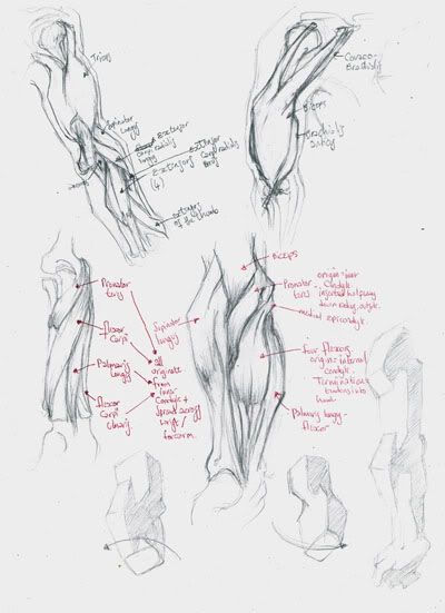 Trails of Crumpled Paper and Chewed-up Pencil Stubs~ Trails of Crumpled Paper and Chewed-up Pencil Stubs~