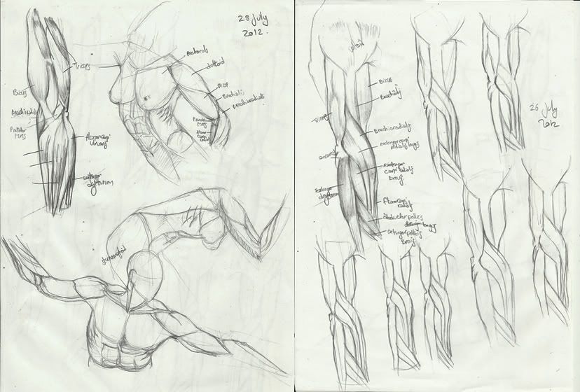 Trails of Crumpled Paper and Chewed-up Pencil Stubs~ Trails of Crumpled Paper and Chewed-up Pencil Stubs~