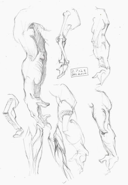 Trails of Crumpled Paper and Chewed-up Pencil Stubs~ Trails of Crumpled Paper and Chewed-up Pencil Stubs~