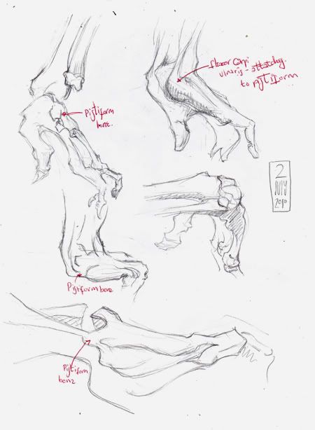Trails of Crumpled Paper and Chewed-up Pencil Stubs~ Trails of Crumpled Paper and Chewed-up Pencil Stubs~