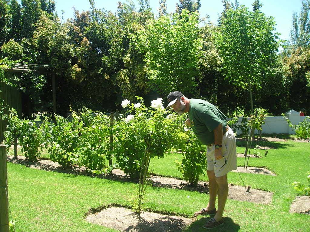 Stellenbosch Winery