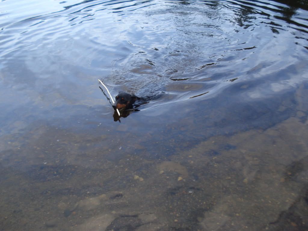 DSC07449.jpg