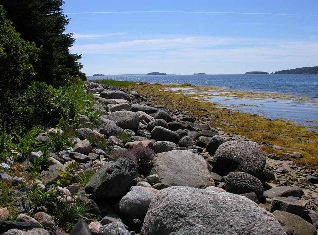 Rocky Shore Pictures