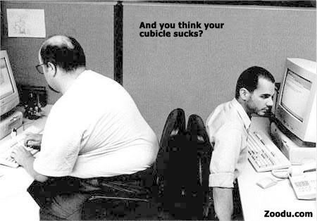 cubicle.jpg