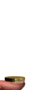 th_flip_of_coin.gif