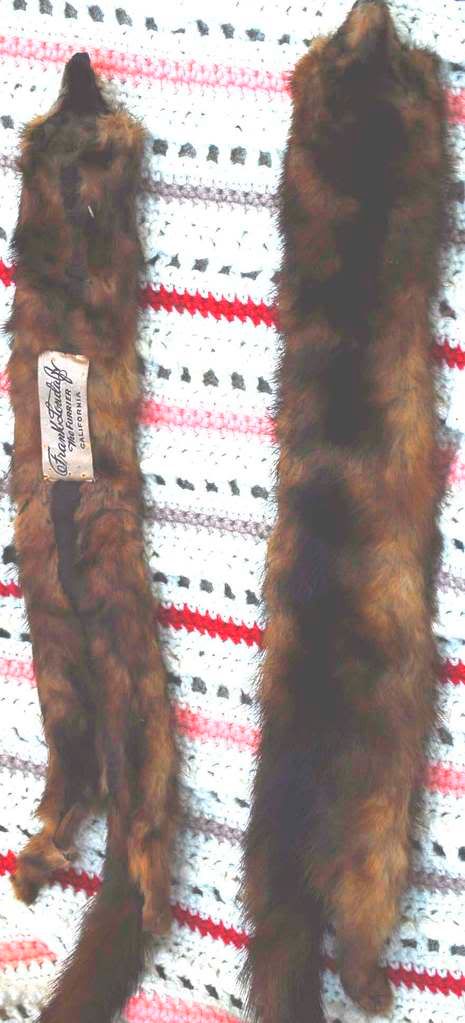 Mink Fur (c) isgoodmyfrnds individual mink lashes for sale