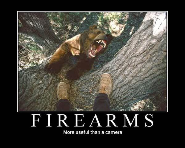 bear funny photo: firearms untitled.jpg